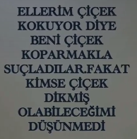 1719422304305.png