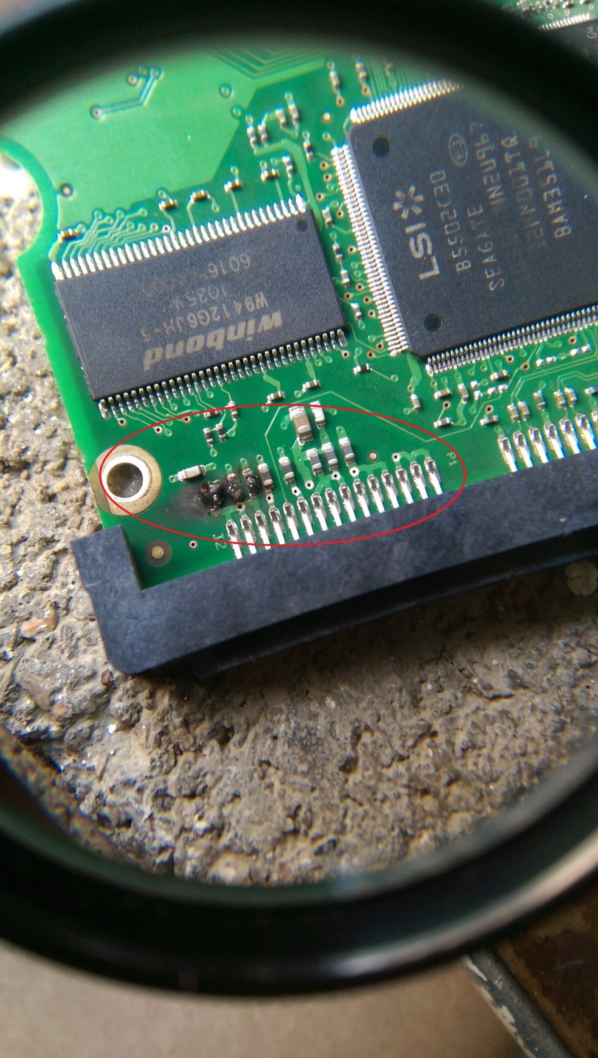IMAG1146.jpg