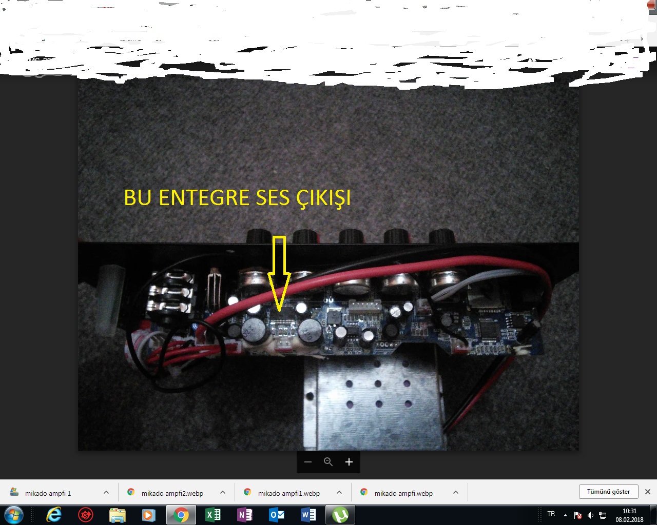 mikado ampfi 2.jpg