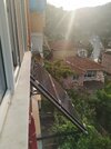 IMG_20210607_065634.jpg