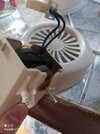 IMG_20240522_181509.jpg