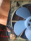 IMG320128.jpg