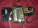 DSC01119.jpg