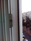 IMG_20171102_073450.jpg