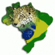 BRAZILIAN