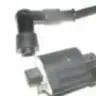 sezarsu1