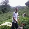 enolimik