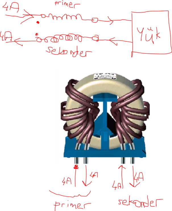 56169