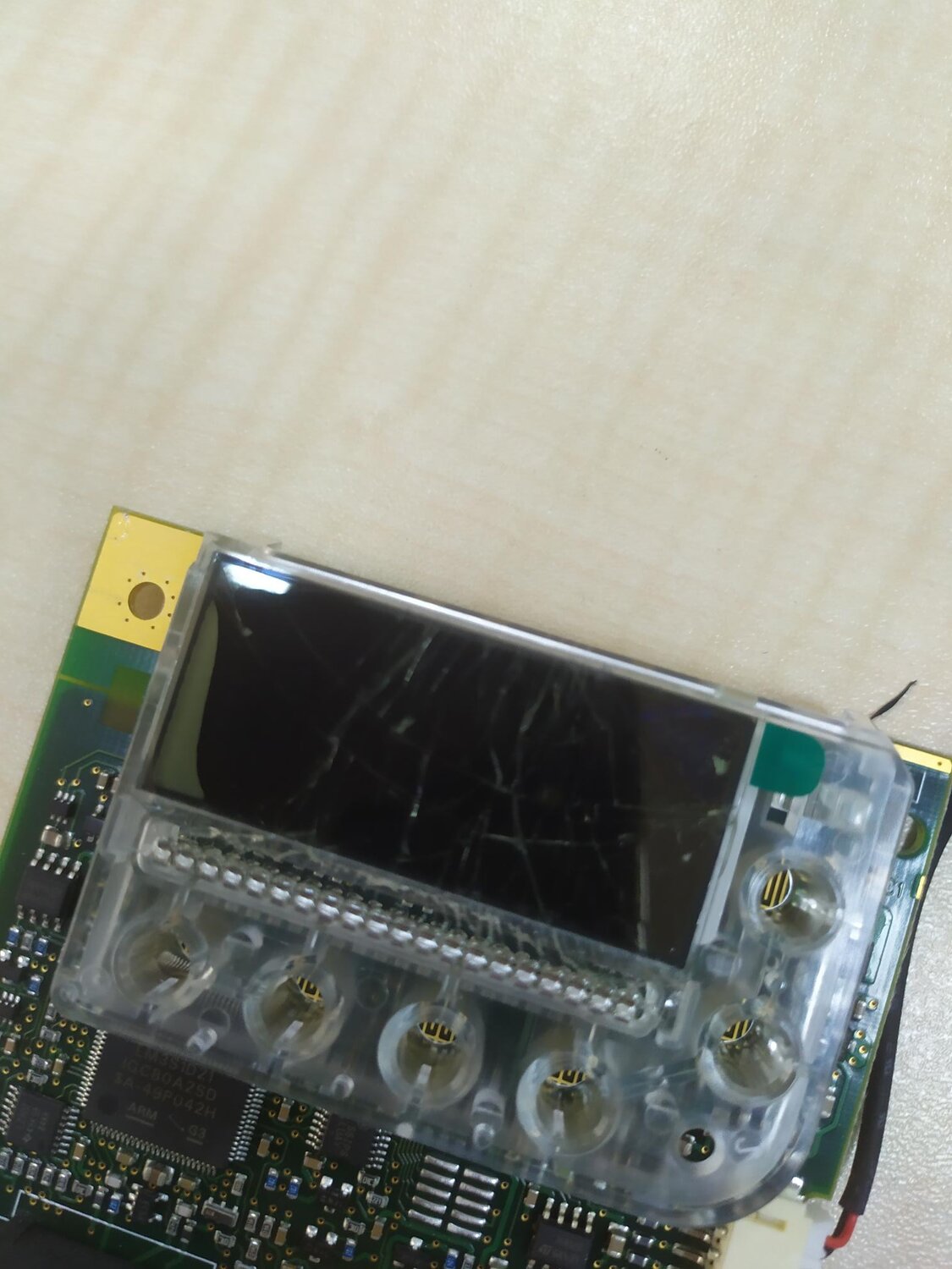 1617626295565.jpg