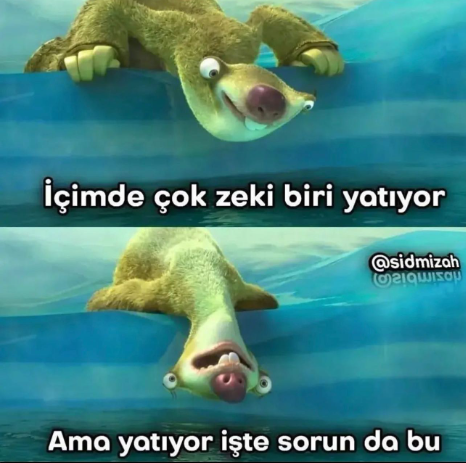 1694446095659.png