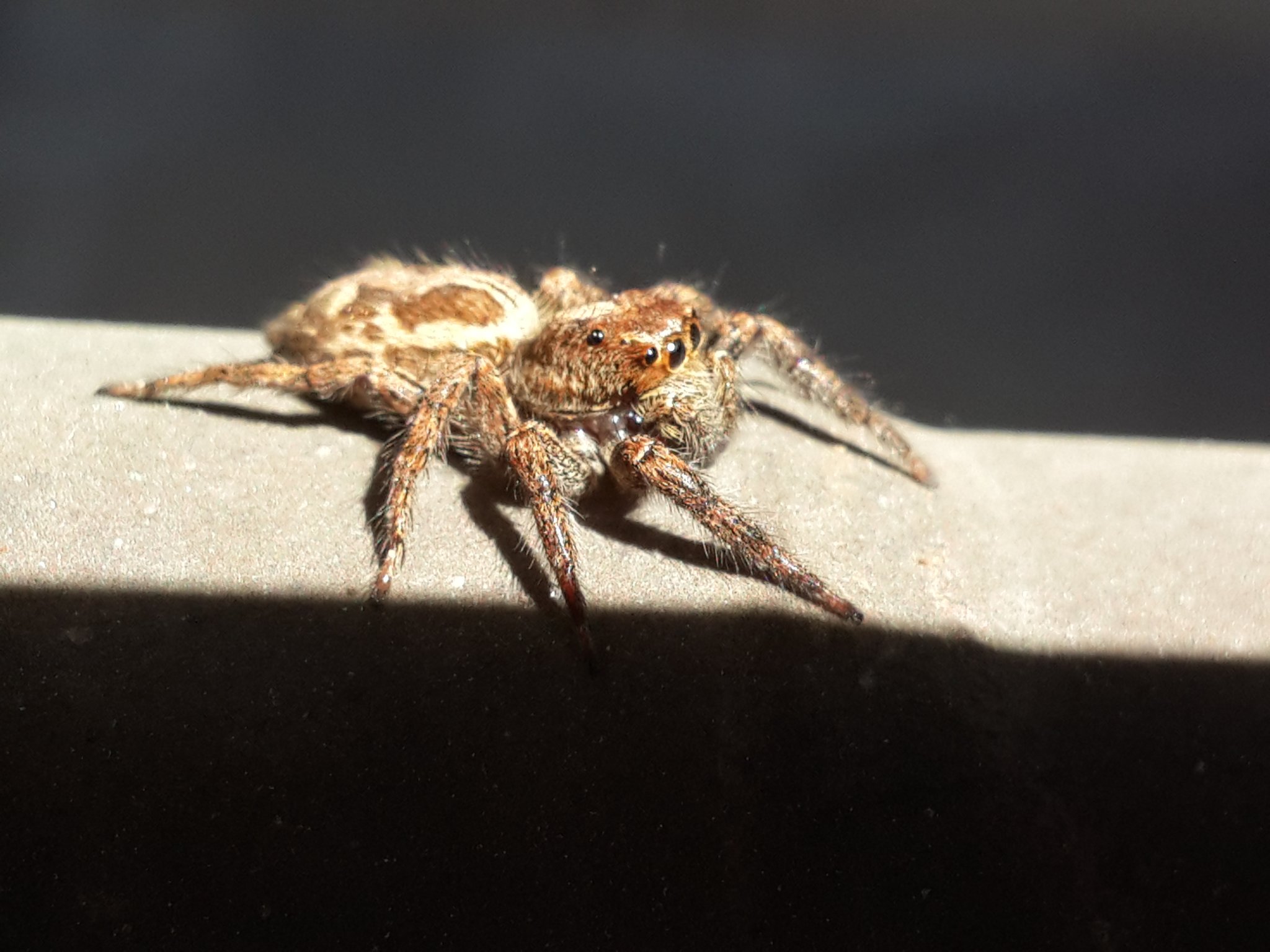 20160509_140955.jpg