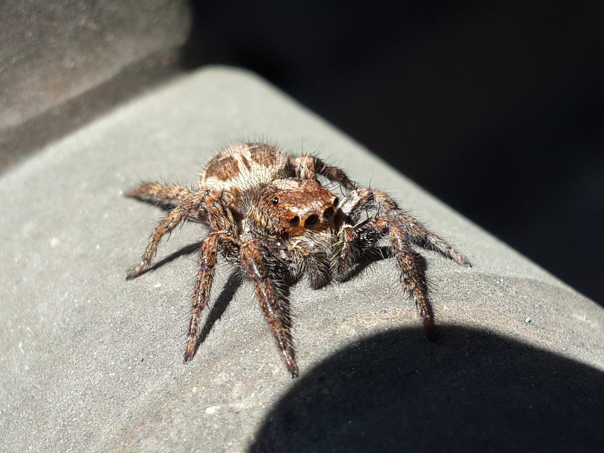 20160509_141035.jpg