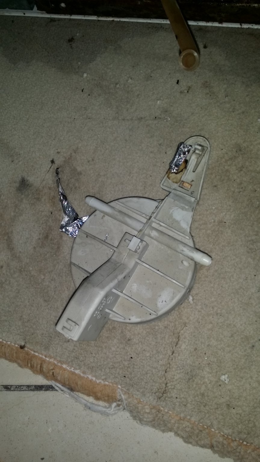20180930_165523.jpg