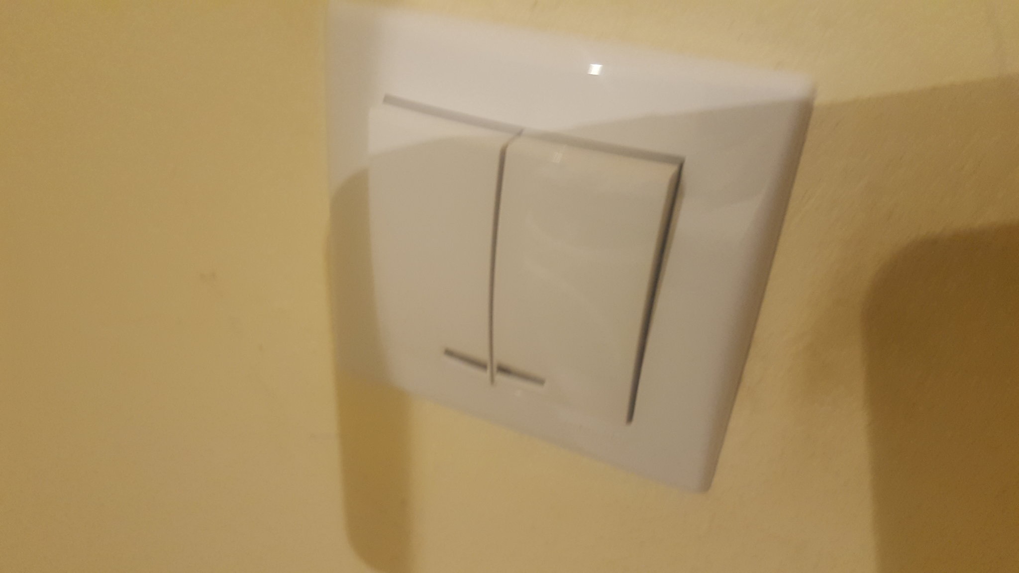 20190219_072911.jpg