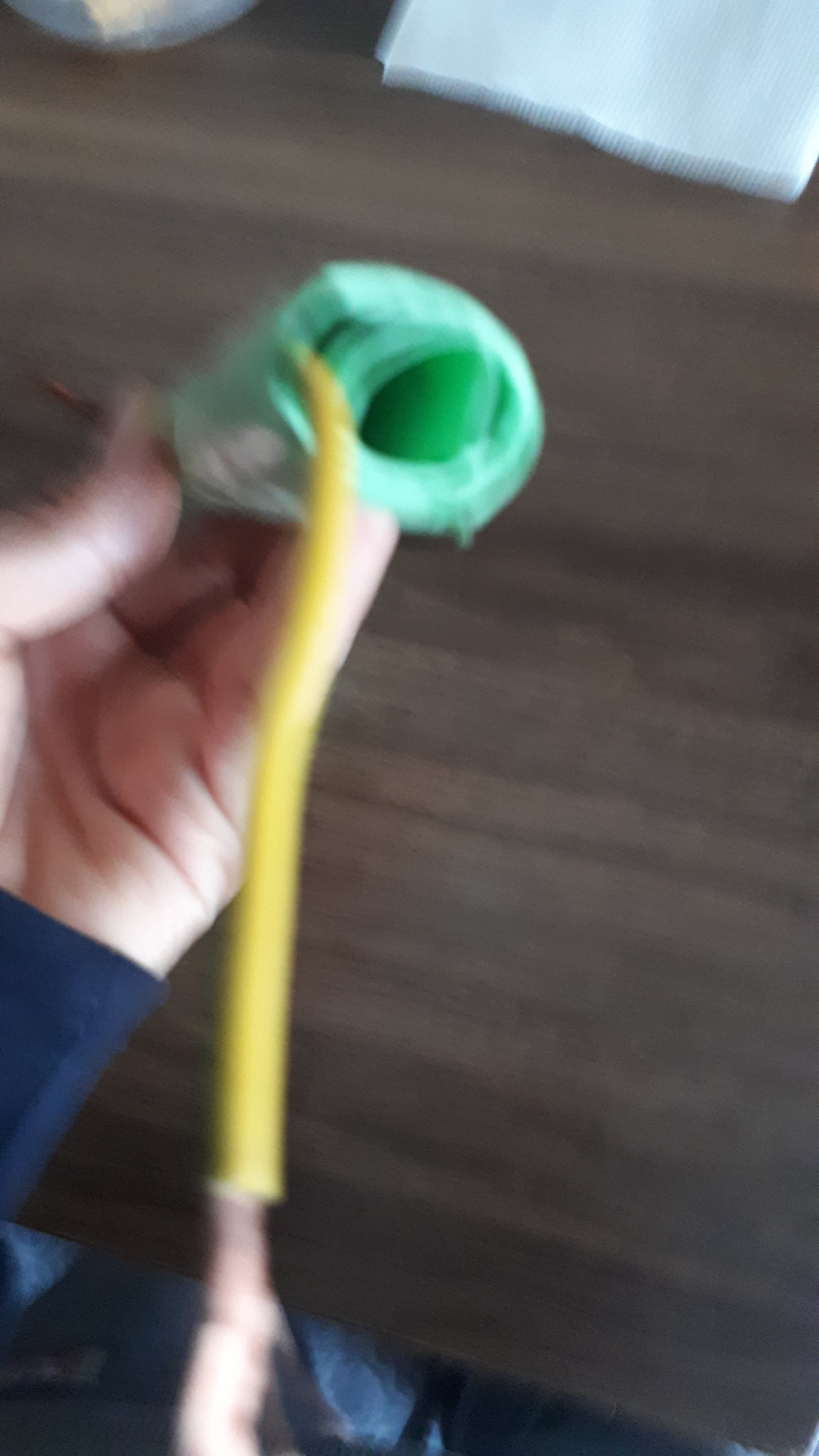 20190228_181200.jpg