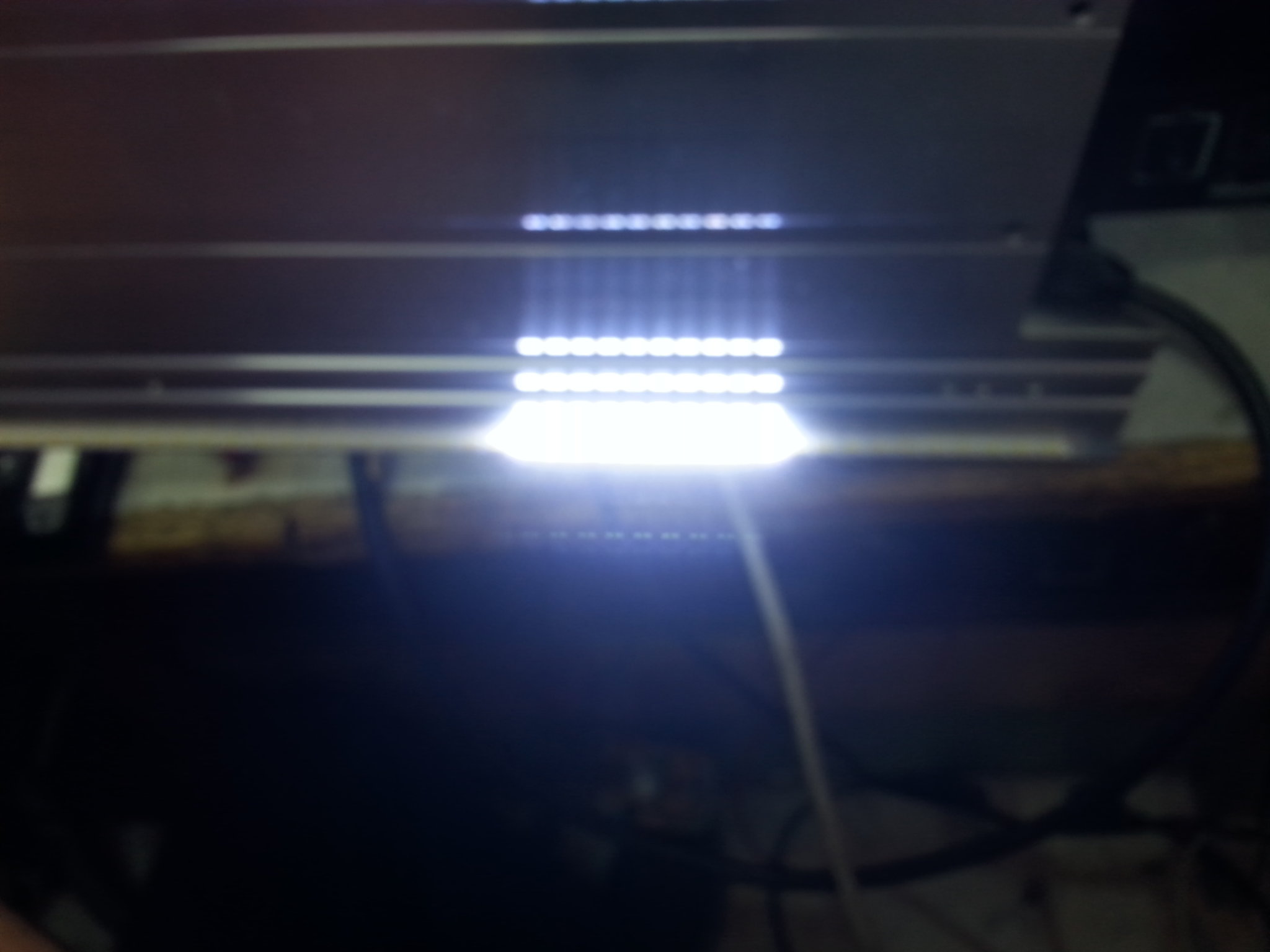 20190808_135019.jpg