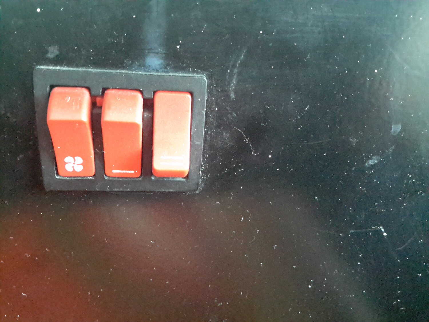 20210119_131409.jpg