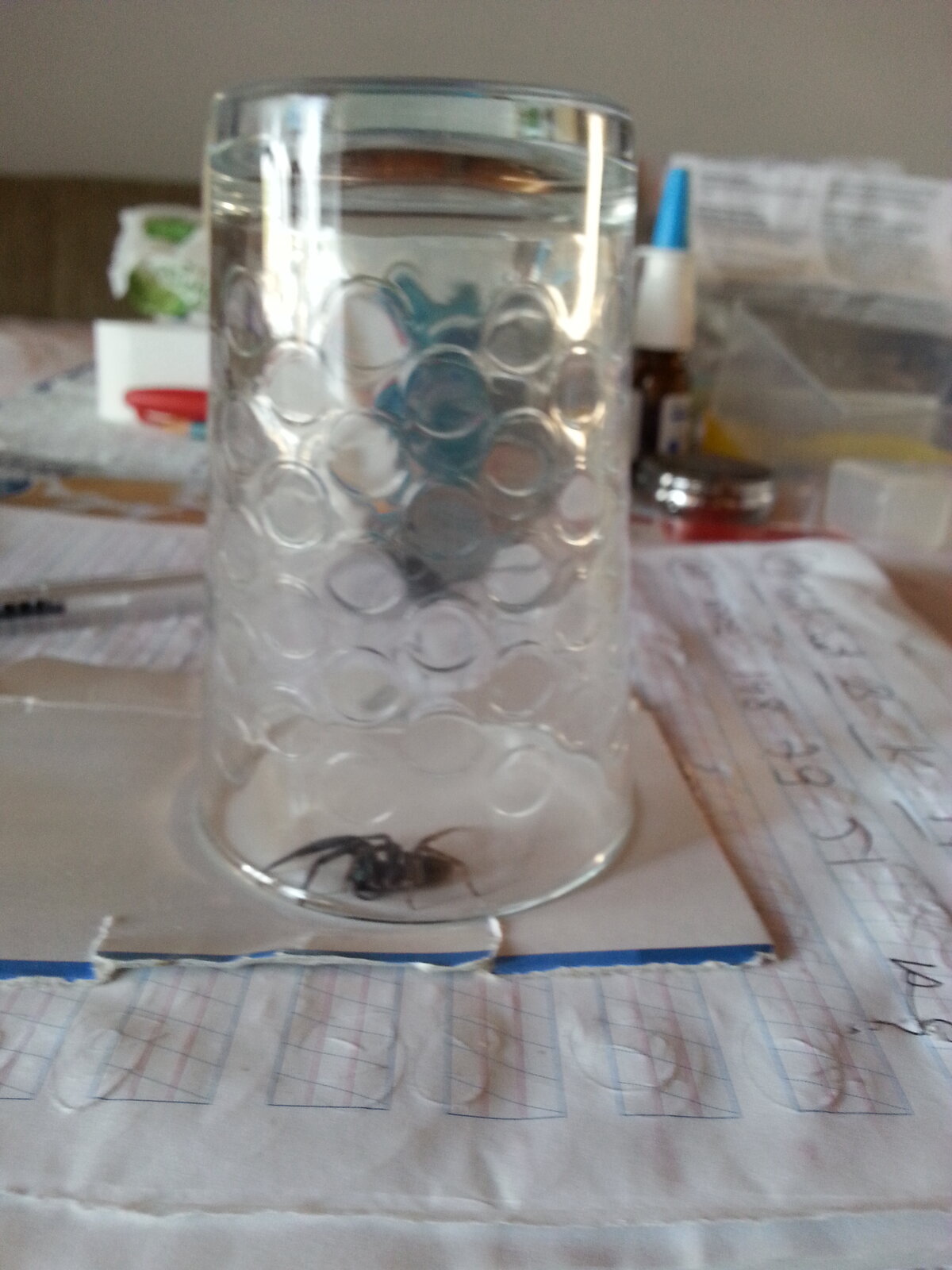 20220617_065737.jpg