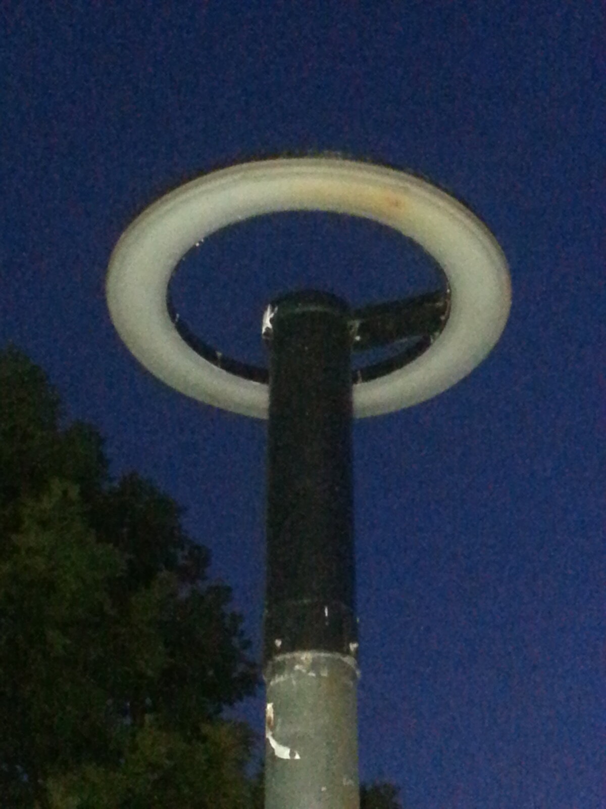 20240629_211645.jpg