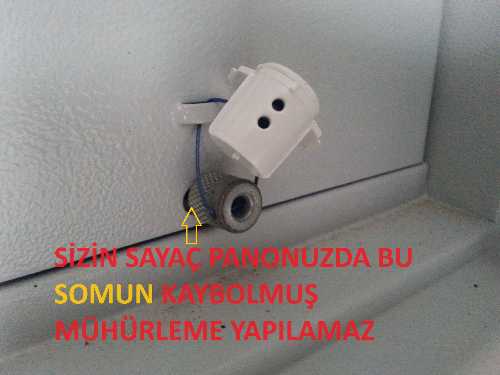 20240712_112416.jpg