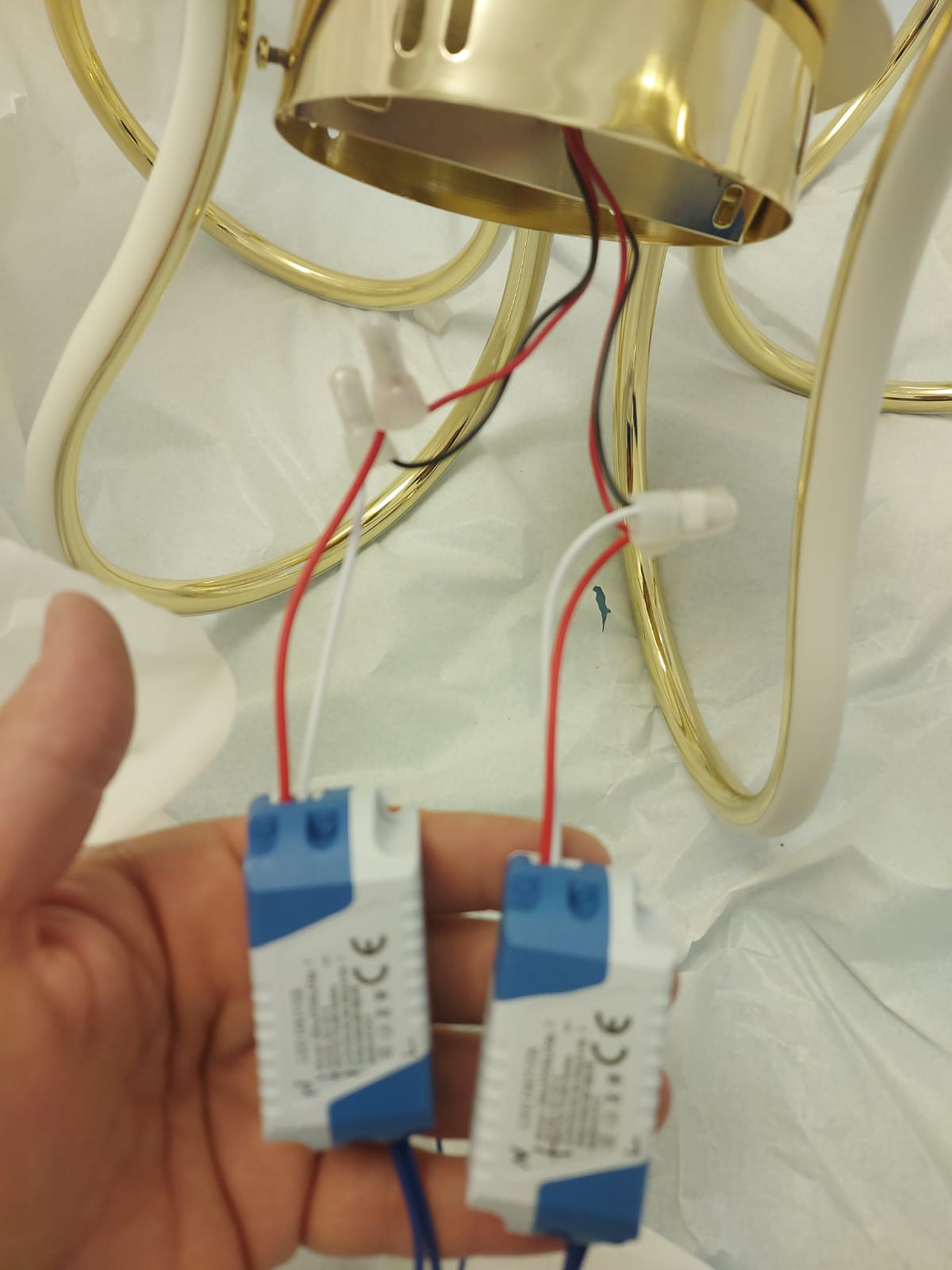 240ac76a-b0a2-41b3-98c1-505bc1ecfe50.jpg