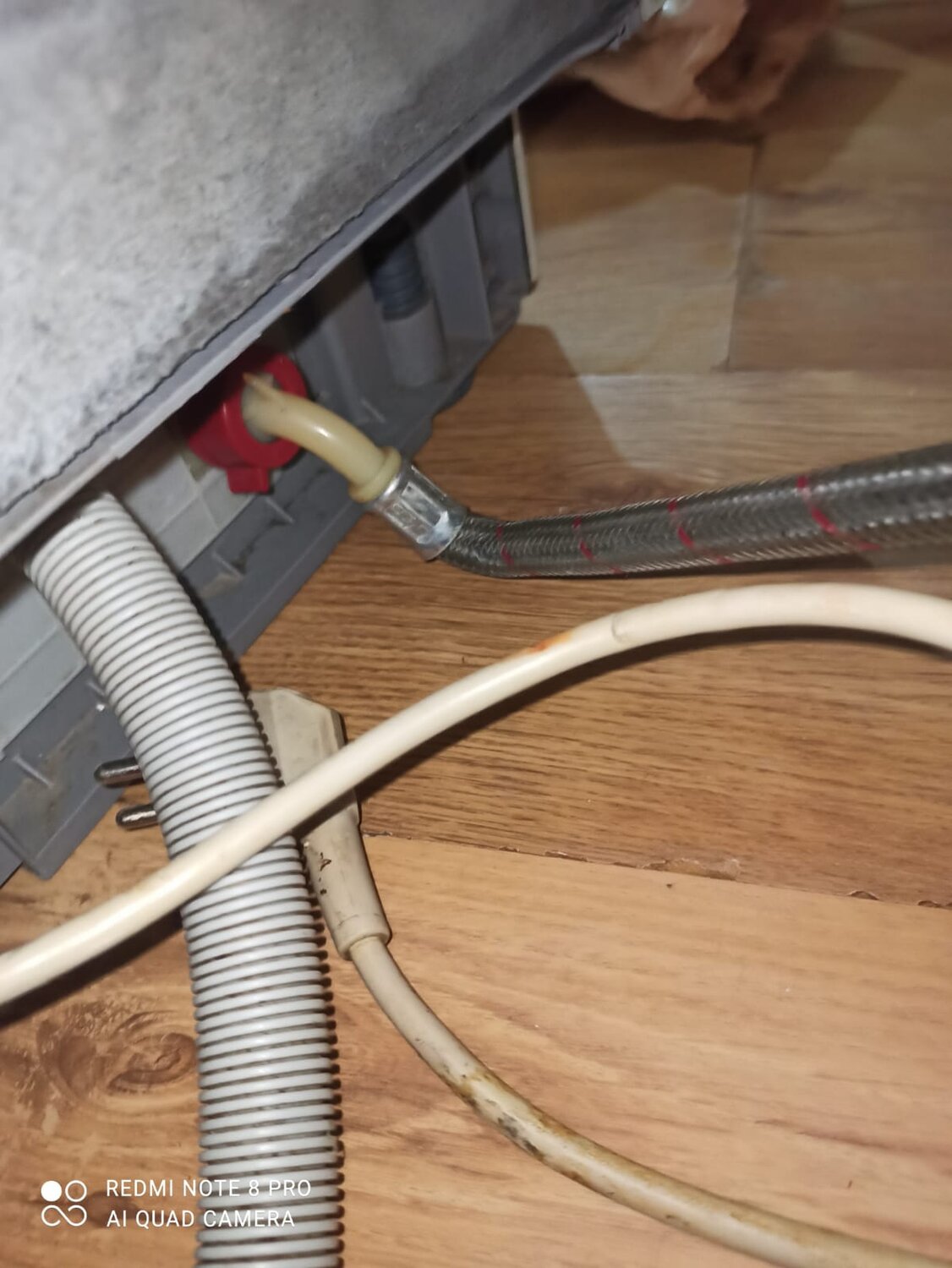 8eedd9da-b576-4bf0-9afd-4c74e28662ec.jpg