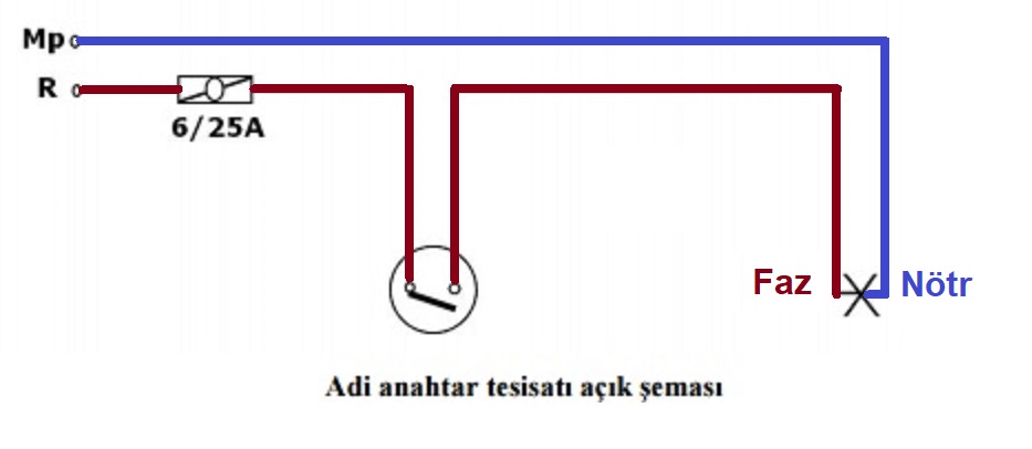 adi2.jpg