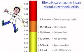 ak%C4%B1m.png