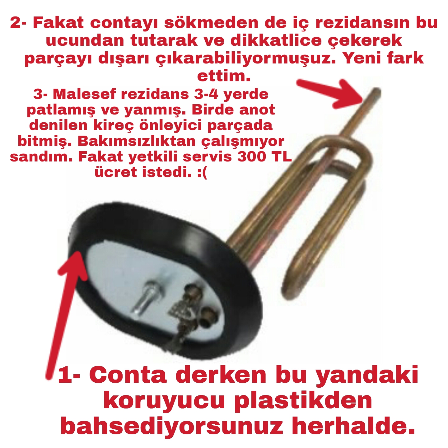 aristonbala.jpg