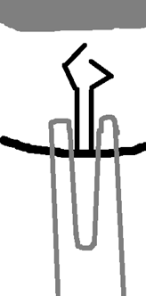 asdasdsa.png