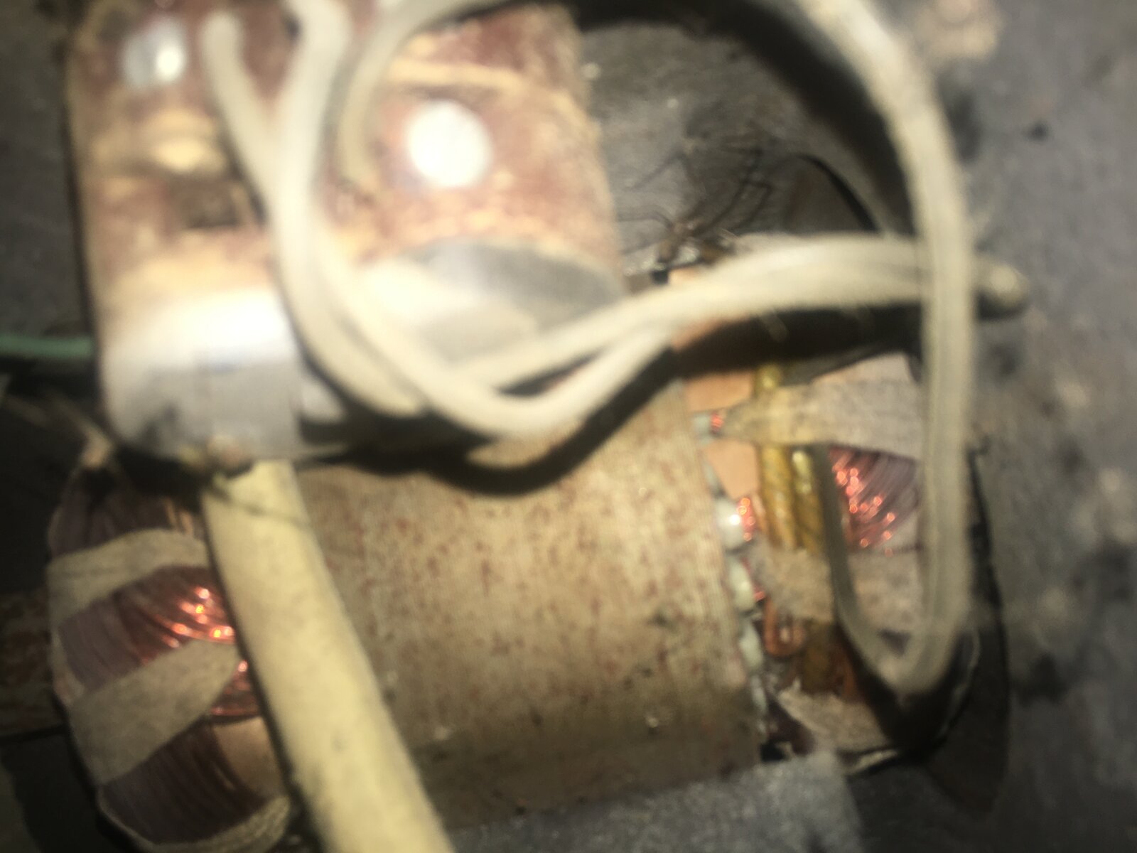 BD046834-3B89-4D14-8866-CA17A9416665.jpeg
