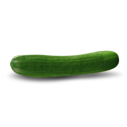 Bellona.png