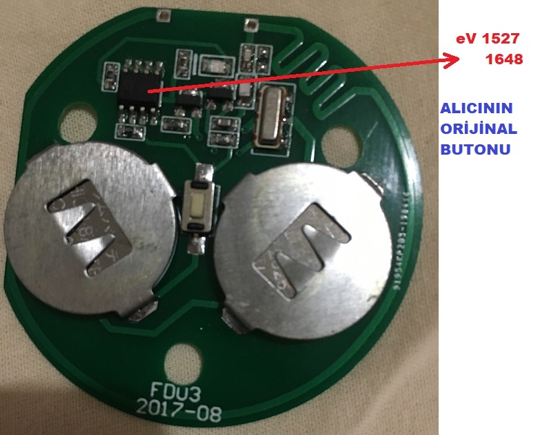 BUTON A.jpg