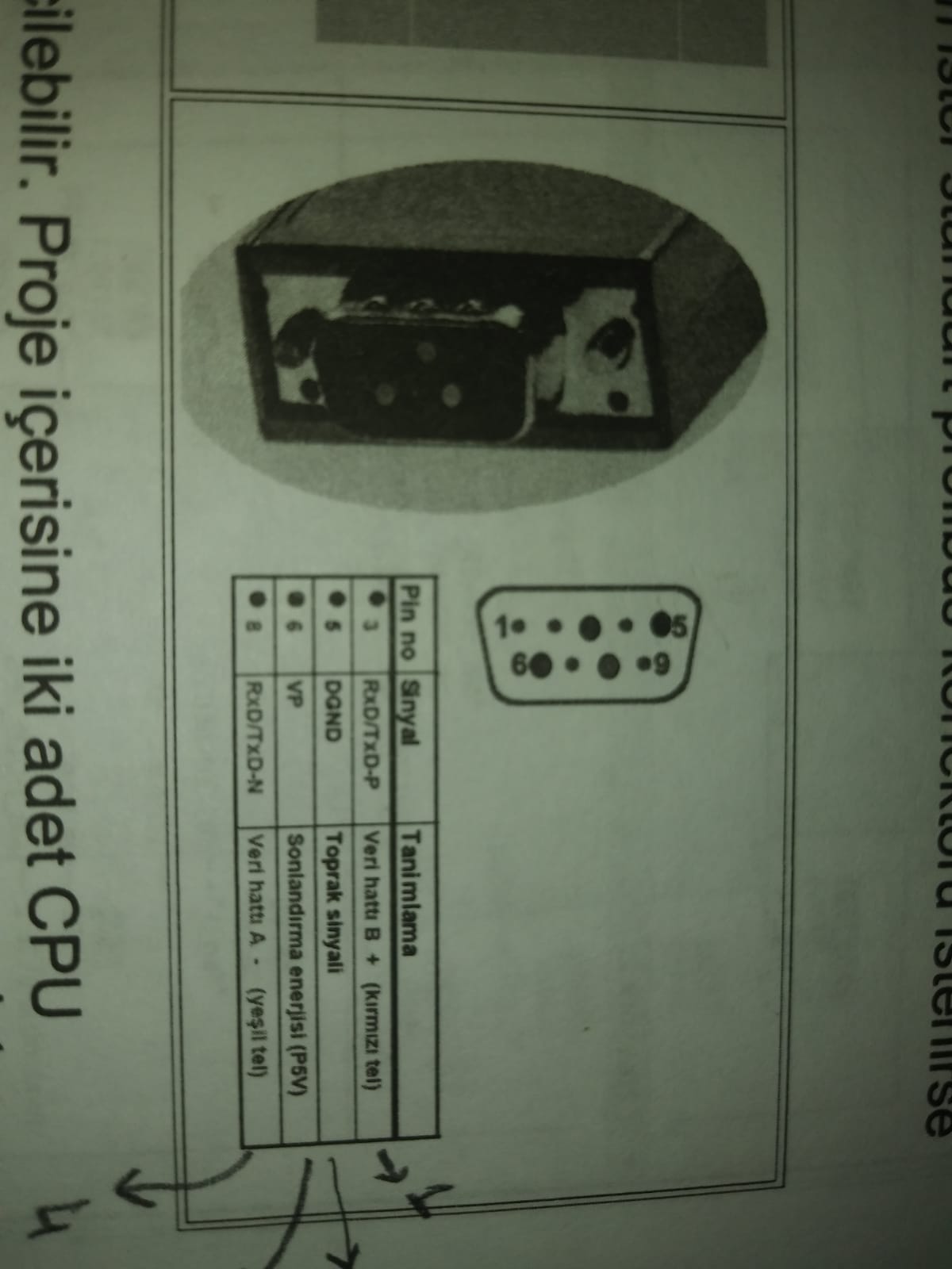 55431