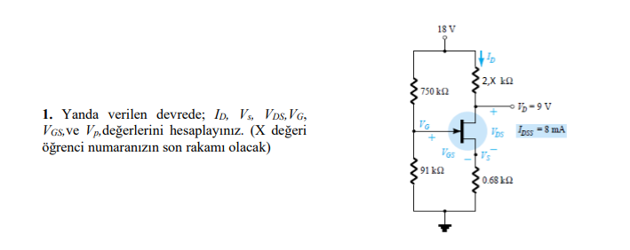 elektornik 1.png