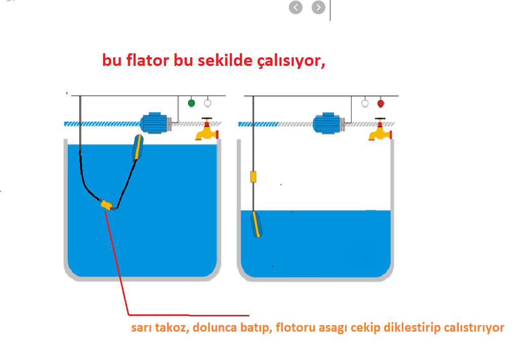 flator.PNG