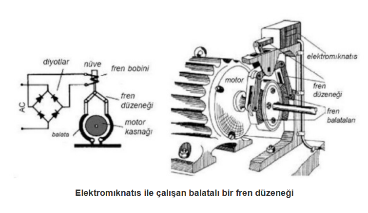 fren.png