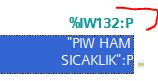 ikinokta_P_nedir.JPG