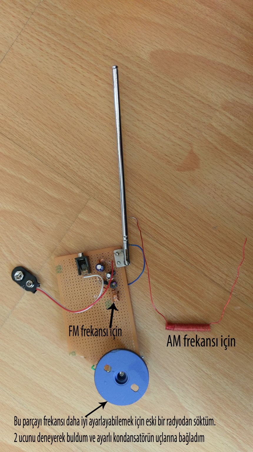 IMAG1516.jpg