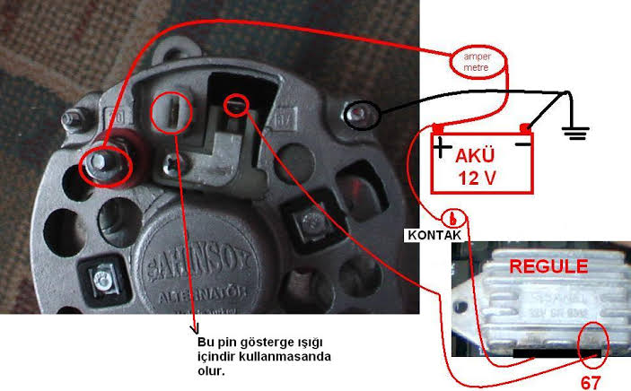 images (13).jpeg