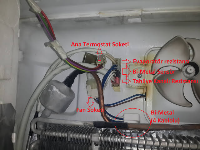 images (4).jpeg