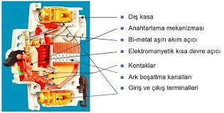 images (4).jpeg