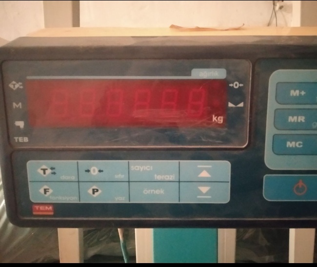 54336