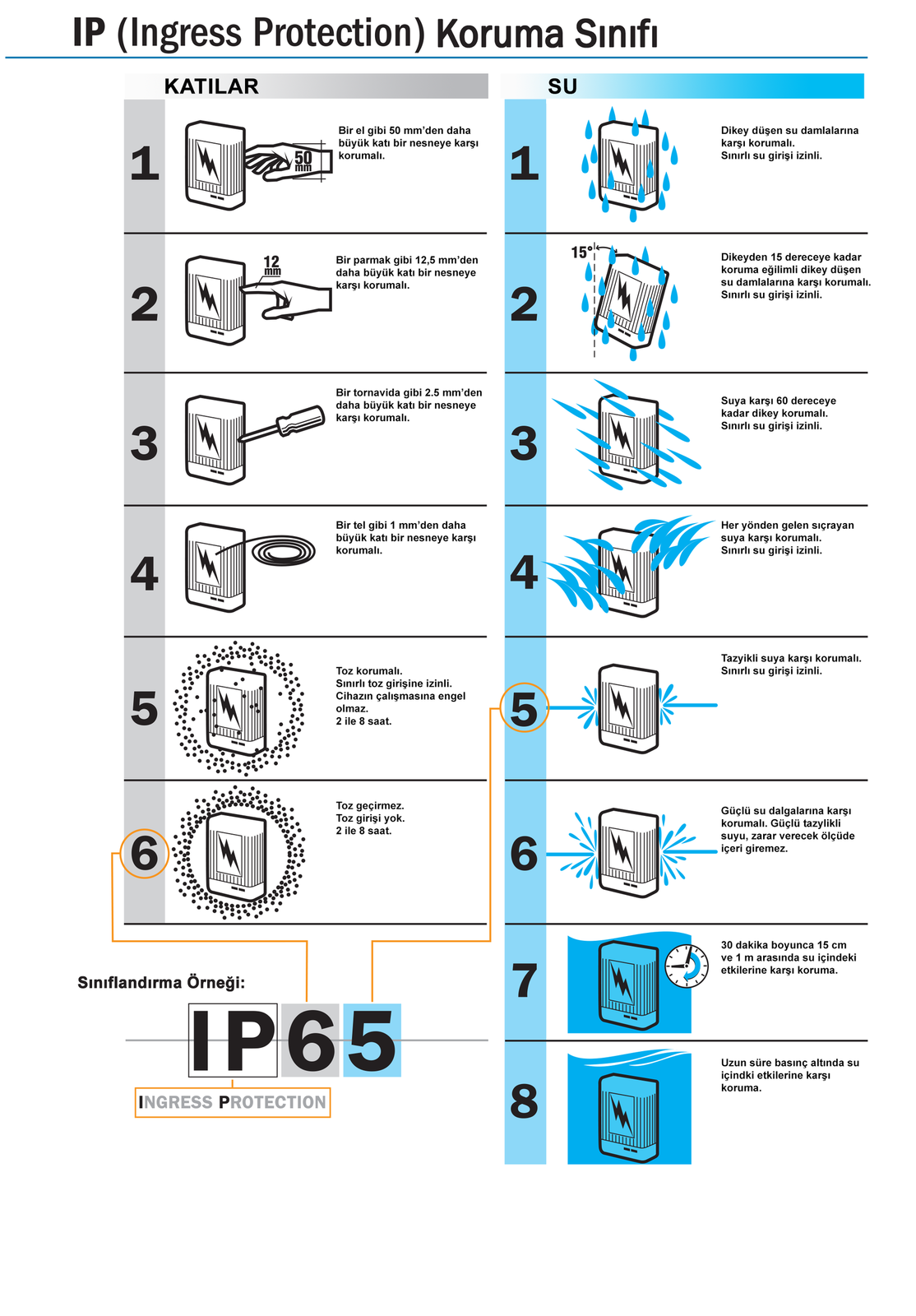 IP-Protection.png