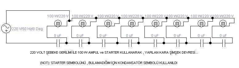 karaşimşek.JPG