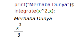 maxima2.png