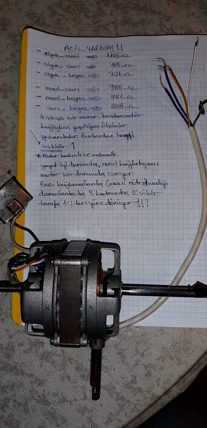 MOTOR.jpg