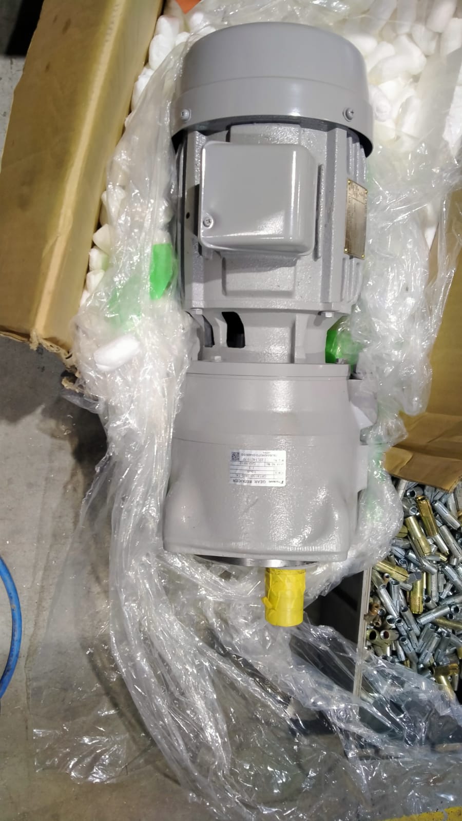motor3.jpg