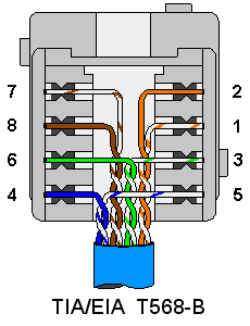 T568-B terminating.gif
