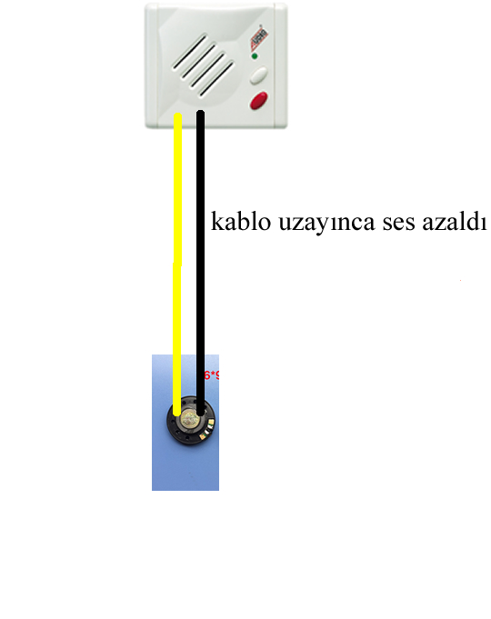 Untitled-1.jpg